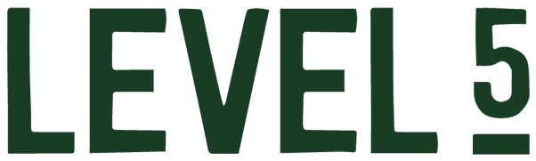 Level 5
